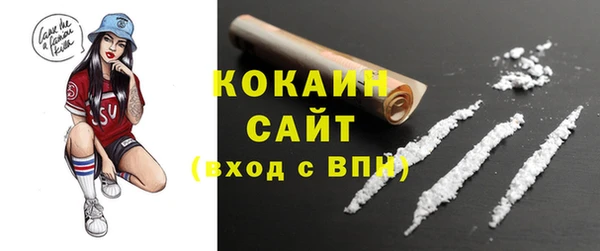 амф Богородицк