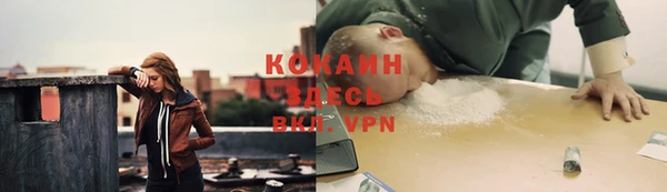 прущие крисы Бородино