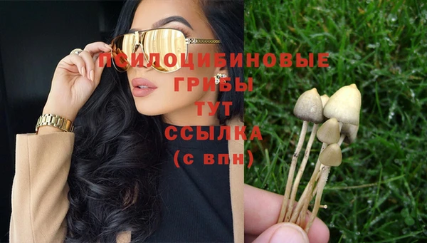 амф Богородицк